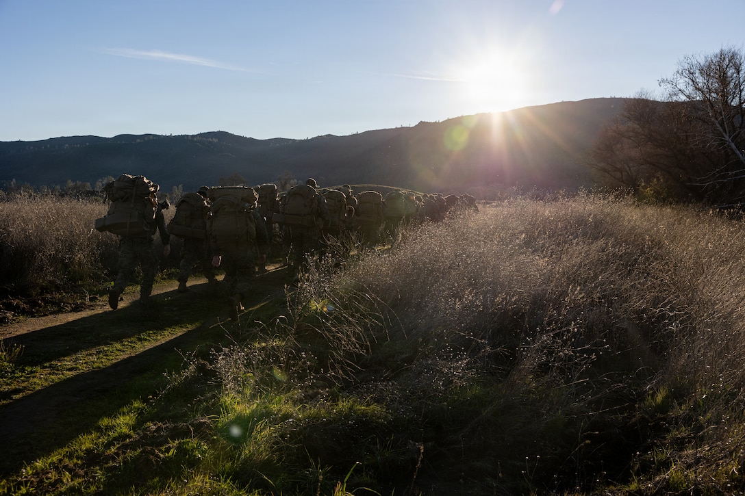 CLB-23 Aerial Insert