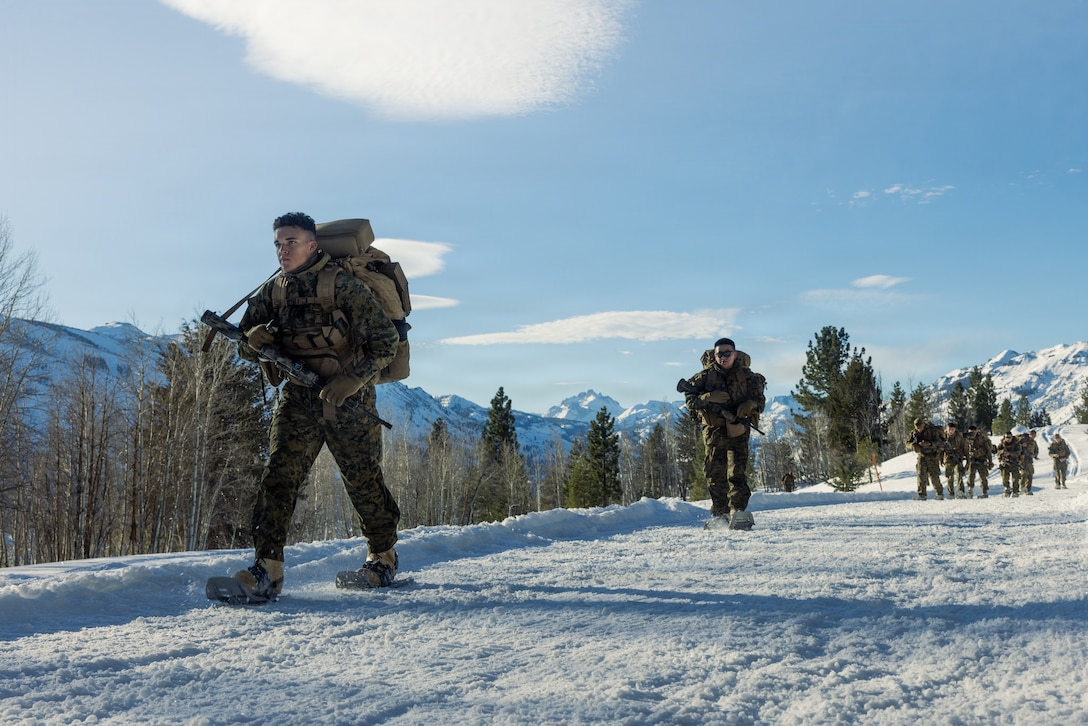 U.S. Marines with Fury Company, 2nd Battalion, 4th Marine Regiment, 1st Marine Division, hike during Mountain Training Exercise 1-26 at Marine Corps Mountain Warfare Training Center, Bridgeport, California, Jan. 14, 2026.