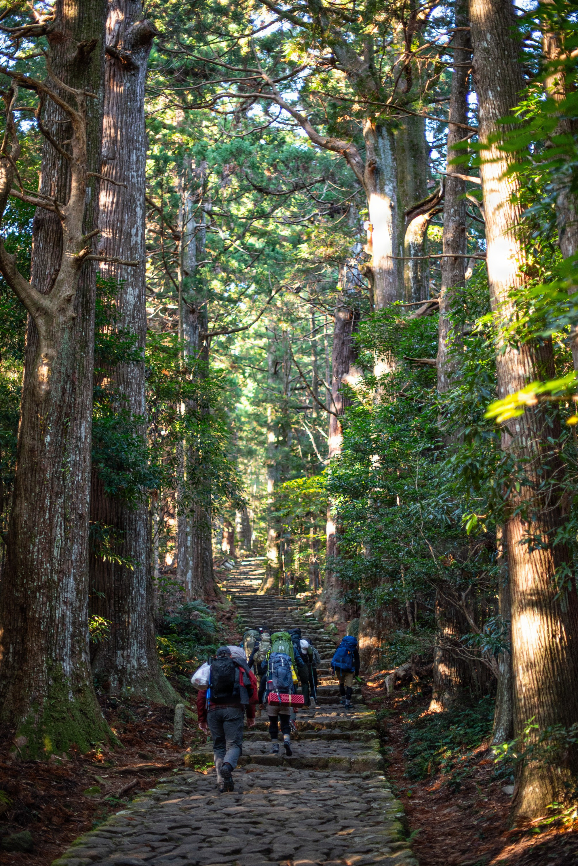 Purified by the Path”: Team Kadena's Misogi on the Kumano Kodo