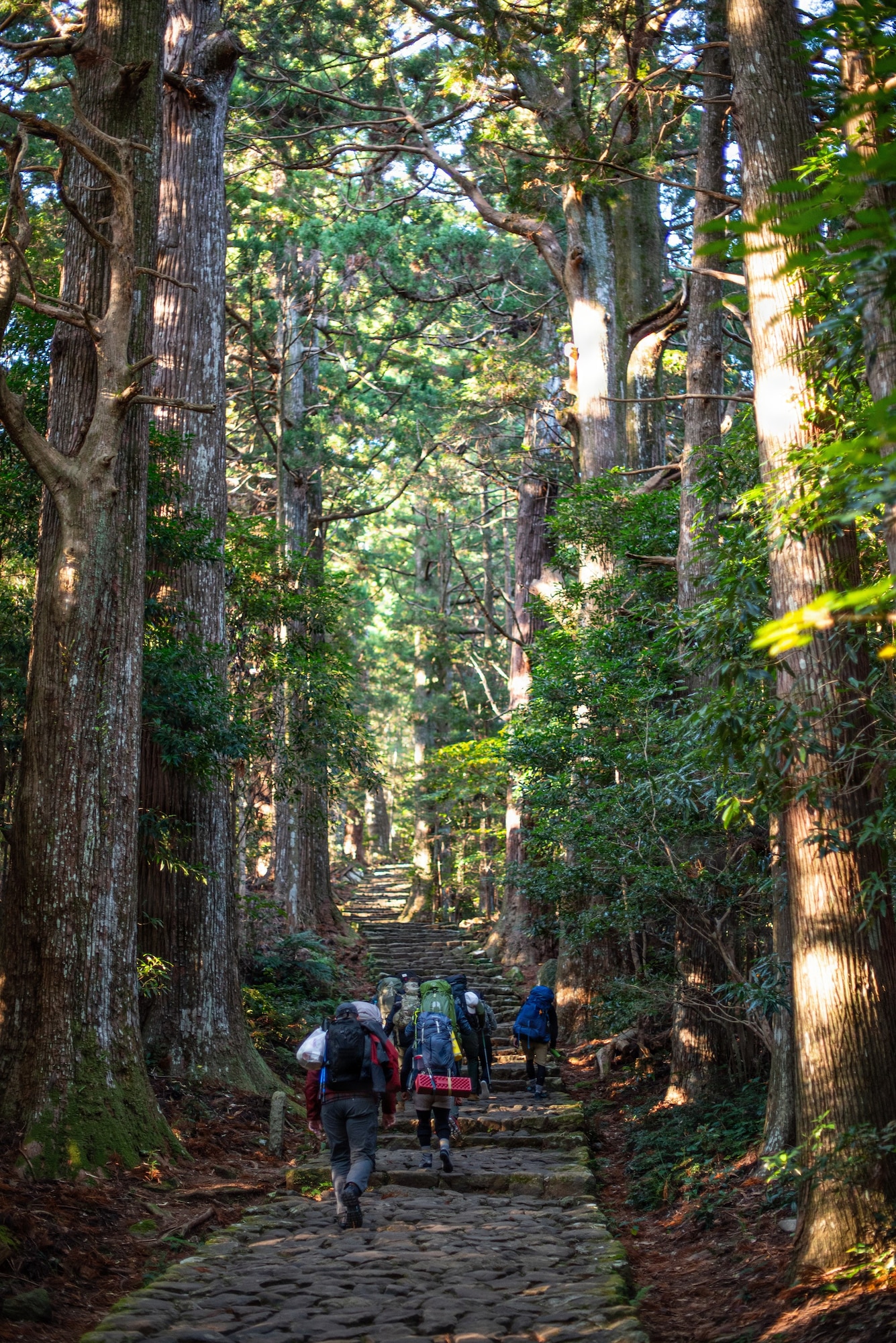 Team Kadena members trek through an 800-year-old cedar forest along the Kumano Kodo pilgrimage route in Wakayama Prefecture, Japan, Dec. 4–9, 2025.