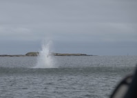 U.S. Navy Sailors with Explosive Ordnance Disposal Mobile Unit 8 conduct a controlled underwater detonation during Exercise Freezing Winds 25 in Upinniemi, Finland, Nov. 25, 2025.