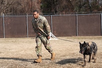 An Army soldier walking and holding the leash on a black dog across a field of dry grass with brown-colored chain link fence in the background.