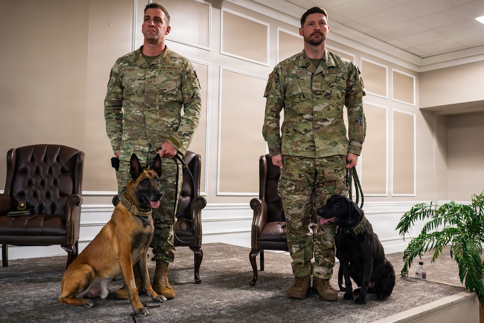 Two Airmen stand at attention as they hold collars for dogs who are sitting up.