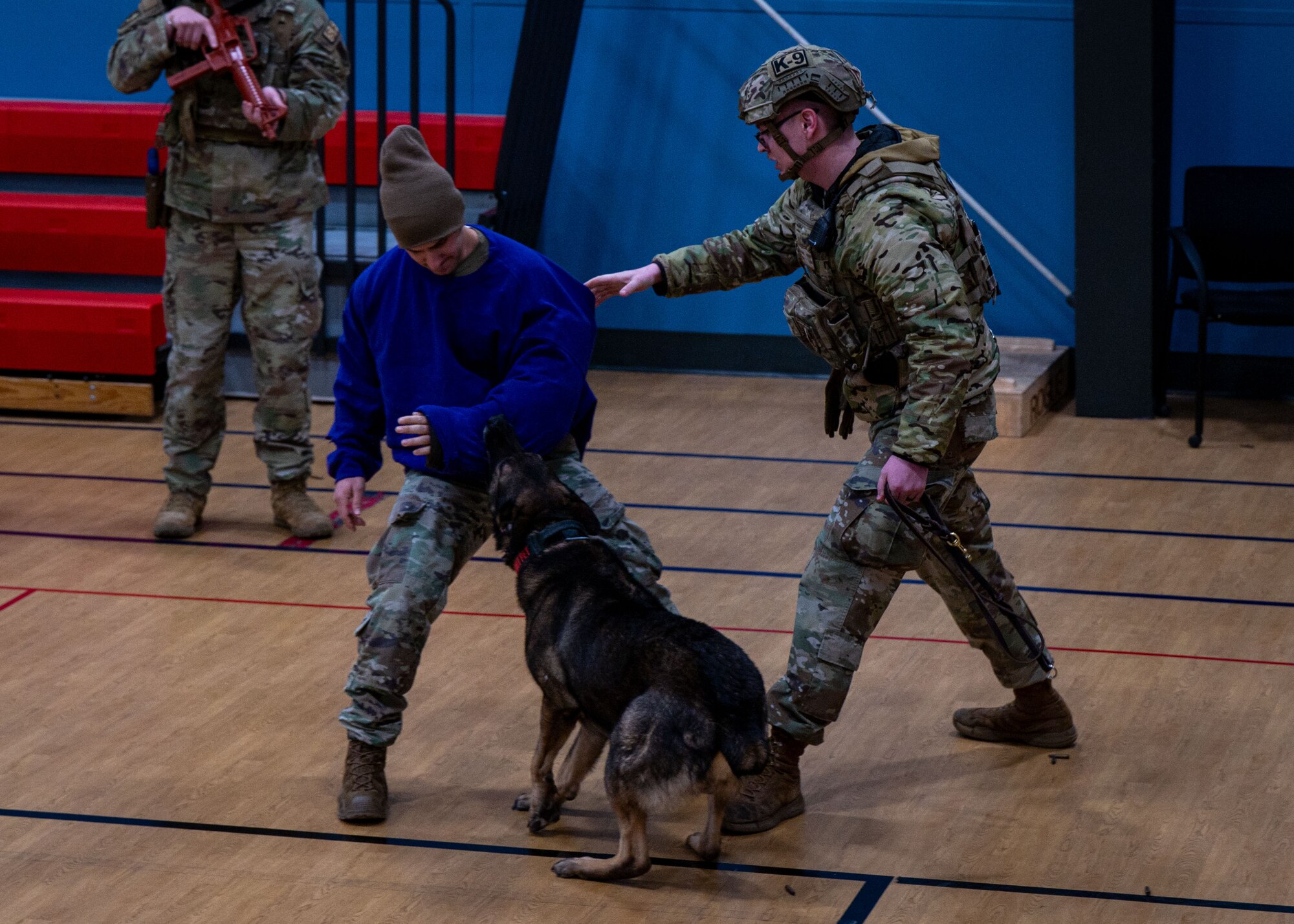 A photo of a man being bitten by a military working dog while another man tries to detach the dog from the first man.