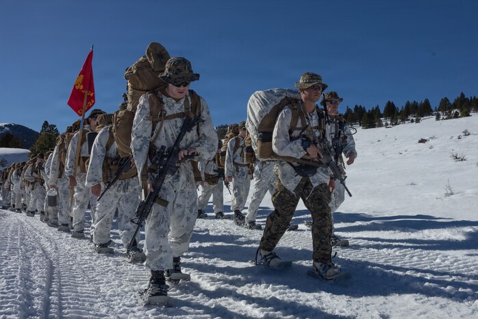 U.S. Marines and Sailors with Combat Logistics Battalion 24, Combat Logistics Regiment 27, 2nd Marine Logistics Group, participate in an acclimation hike as part of Mountain Training Exercise 1-26 at Marine Corps Mountain Warfare Training Center in Bridgeport, California, Jan. 14, 2026. CLB-24 executed the acclimation hike to familiarize the Marines with hiking in austere terrain and high elevations.  Exercises like MTX 1-26 prove Marines’ ability to provide flexible and responsive combat service support during high intensity combat operations in contested and mountainous terrain. (U.S. Marine Corps photo by Lance Cpl. Isabelle Veillette)