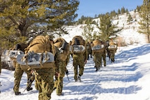 U.S. Marines and Sailors with Combat Logistics Battalion 24, Combat Logistics Regiment 27, 2nd Marine Logistics Group, participate in an acclimation hike as part of Mountain Training Exercise 1-26 at Marine Corps Mountain Warfare Training Center in Bridgeport, California, Jan. 14, 2026. CLB-24 executed the acclimation hike to familiarize the Marines with hiking in austere terrain and high elevations. Exercises like MTX 1-26 prove Marines’ ability to provide flexible and responsive combat service support during high intensity combat operations in contested and mountainous terrain. (U.S. Marine Corps photo by Lance Cpl. Isabella Ramos)