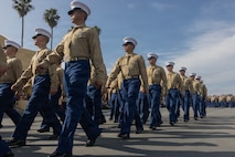 Fox Company Graduation