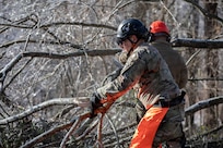 Georgia State Defense Force personnel remove debris from a residential area during Winter Storm Fern in White County, Georgia Jan. 26, 2026. The Georgia Department of Defense plays an integral role in
