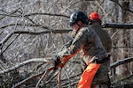 Georgia State Defense Force (GSDF) personnel remove debris from a residential area during Winter Storm Fern in White County, Georgia Jan. 26, 2026. The Georgia Department of Defense plays an integral role in declared emergencies by providing a versatile and ready force capable of responding to natural and manmade disasters across the United States. The Georgia Department of Defense is trained and equipped to ensure rapid, coordinated and effective support is available to civil authorities on short notice. (U.S. Army National Guard photo by Sgt. 1st Class Jeron Walker)