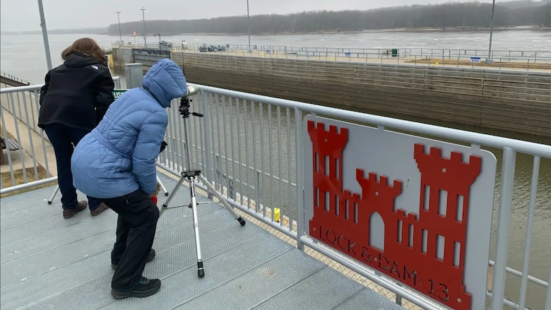 Eagle Watching at Lock and Dam 13