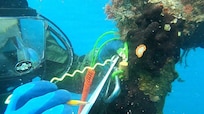 U.S. Navy Seabee divers, assigned to Underwater Construction Team One (UCT 1) Construction Dive Detachment Bravo (CDD/B), records data points to identify system changes during a dive in the Sea of Crete  Dec. 18, 2025.