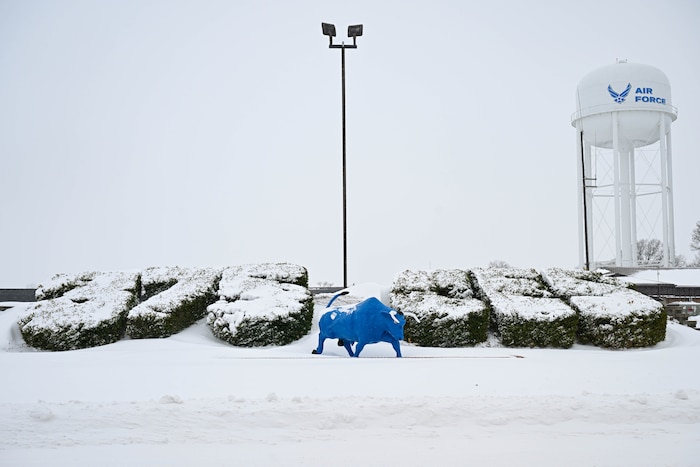 A blue bull statue standing in front of hedges that have been shaped into a three, seven, five, C, E, S, with a white water tower in the background, with snow all around.