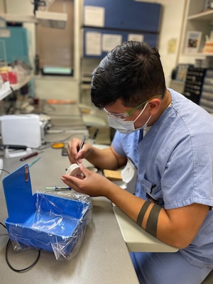 260124-N-FT324-9833. ROTA, Spain (Jan. 24, 2026) Hospital Corpsman 3rd Class Irvin Gonzalez, a native of Mission, Texas, assigned to Navy Medicine Readiness and Training Command Rota, applies finishing details to a dental mold while fabricating a dental appliance in the dental laboratory, Jan. 26, 2026. Gonzalez supports the health, readiness and morale of Sailors and Marines by creating crowns, veneers and other dental restorations. (U.S. Navy photo by Captain Michael Mercado)