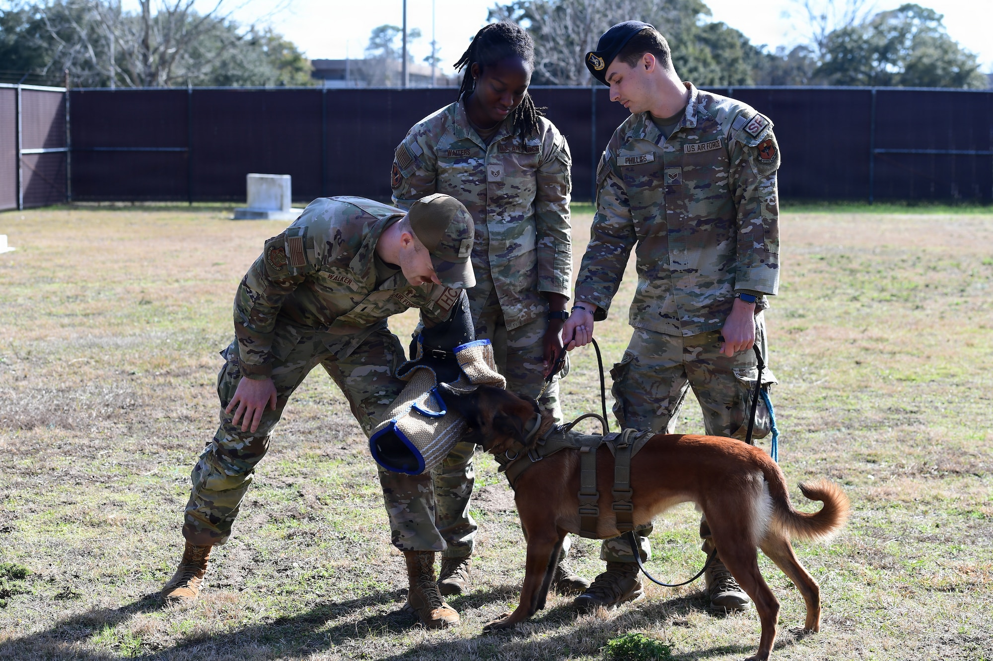 Three people in military uniform and a military working dog perform a demonstration.