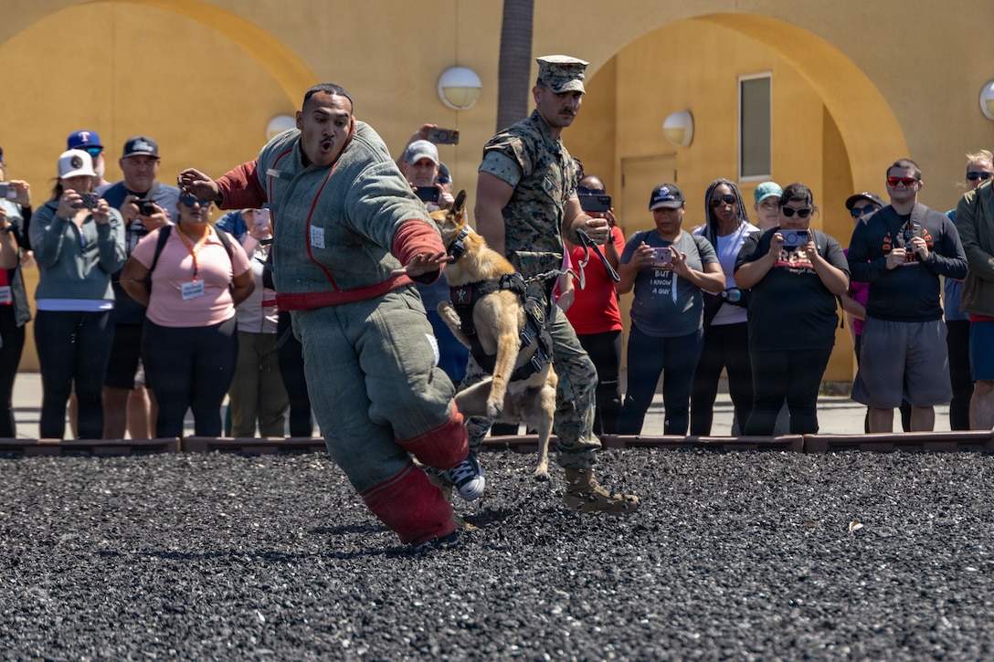 USMC