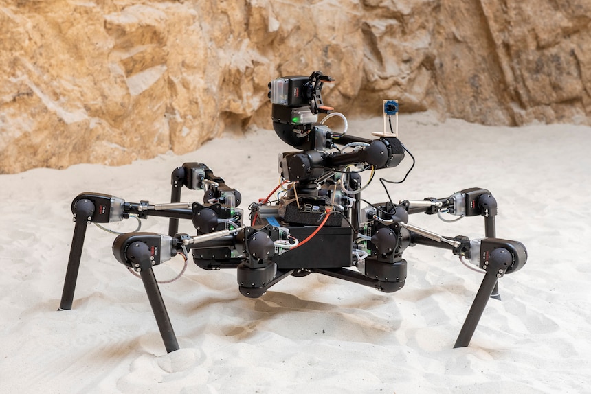 The U.S. Naval Research Laboratory’s (NRL) Distributed Autonomous Systems Group demonstrates how a hexapod can maneuver through different terrains at NRL in Washington, D.C., Jul. 20, 2021. The hexapod tracks human movement in order to fulfill military communication needs. (U.S. Navy photo by Sarah Peterson) RELEASED