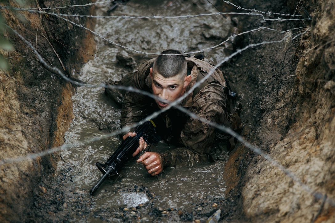 A U.S. Marine Corps officer candidate with Platoon Leaders Course Seniors, Lima Company, Officer Candidates School, participates in the Endurance Course at Marine Corps Base Quantico, Virginia, June 16, 2026. The Endurance Course is a three and a half mile run featuring multiple obstacles and is used to evaluate candidates' endurance and ability to overcome physical challenges under stress. (U.S. Marine Corps photo by Cpl. Joshua Barker)