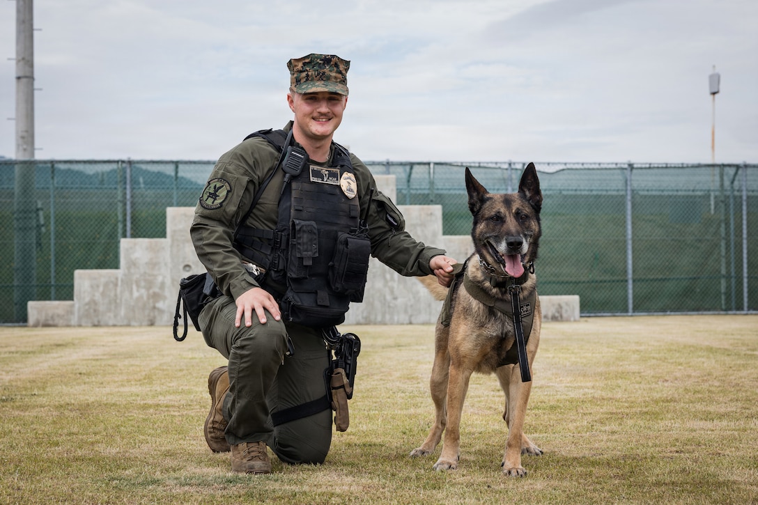 U.S. Marine Corps Cpl. Thomas O’Brien, a military working dog handler with the Provost Marshal’s Office, Headquarters and Headquarters Squadron (H&HS), Marine Corps Air Station Iwakuni, poses for a photo with his MWD Rambo at MCAS Iwakuni, Japan, May 20, 2026. Rambo has been at MCAS Iwakuni for over five years, conducting several anti-terrorism measures, customs sweeps and over 100 K-9 demonstrations. (U.S. Marine Corps photo by Cpl. Sarah Grawcock)