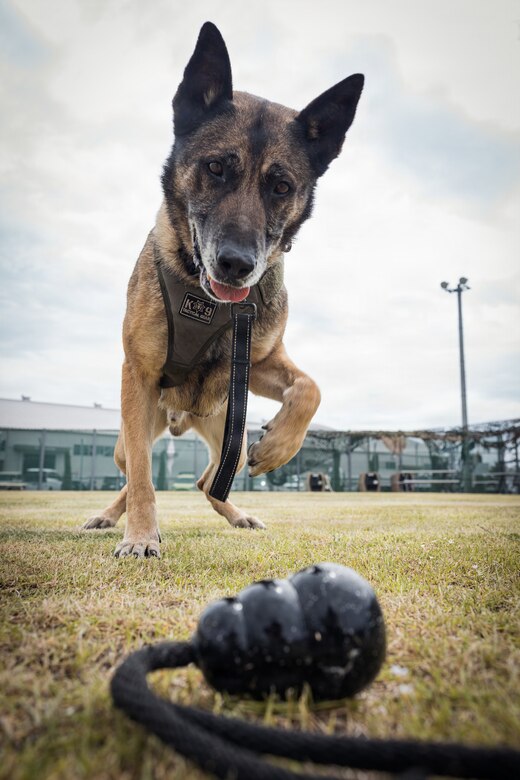 Photo by Cpl. Sarah Grawcock