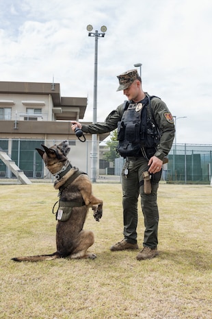 Photo by Cpl. Sarah Grawcock