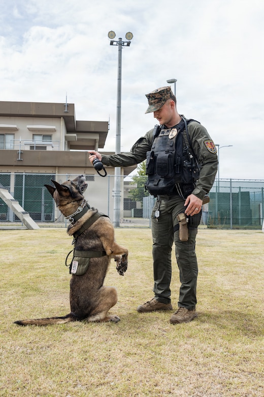 Photo by Cpl. Sarah Grawcock