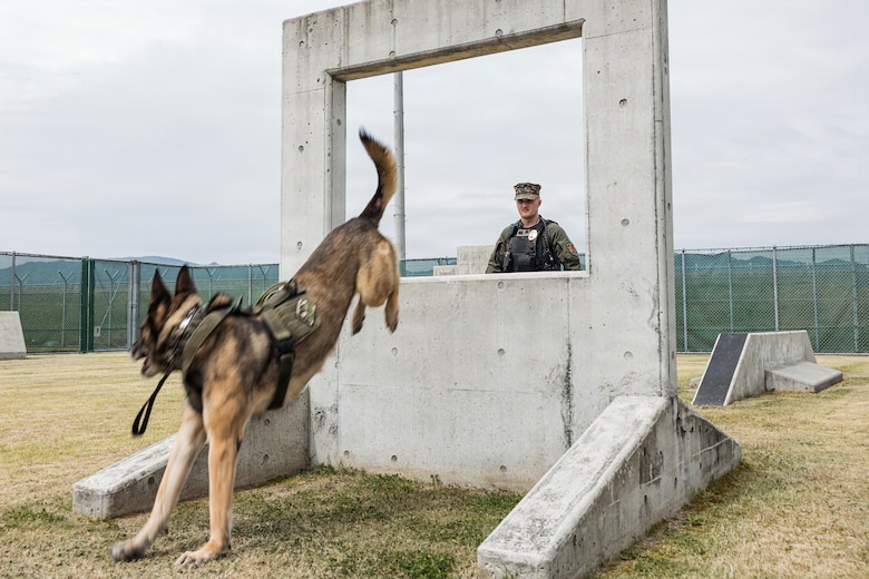 Photo by Cpl. Sarah Grawcock