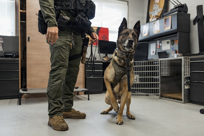 Photo by Cpl. Sarah Grawcock