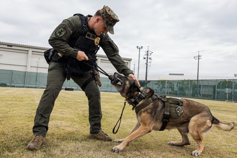 Photo by Cpl. Sarah Grawcock