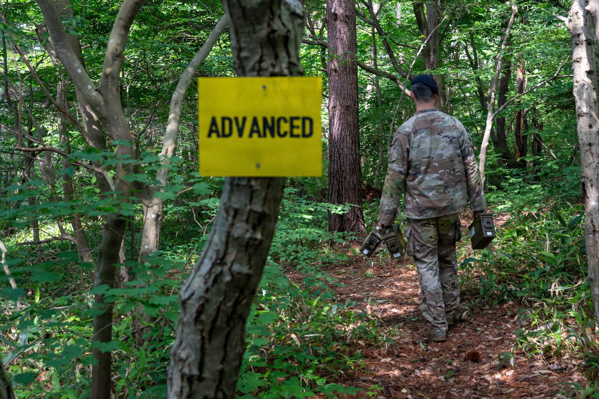U.S. Air Force Staff Sgt. Dante Sepulveda, 35th Security Forces Squadron military working dog (MWD) trainer supervisor, places live explosive training aids during a MWD training exercise at Misawa Air Base, Japan, June 24, 2026