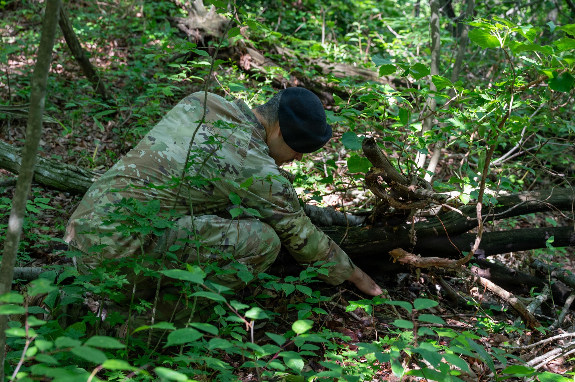 U.S. Air Force Staff Sgt. Dante Sepulveda, 35th Security Forces Squadron military working dog (MWD) trainer supervisor, conceals a live explosive training aid during a MWD training exercise at Misawa Air Base, Japan, June 24, 2026