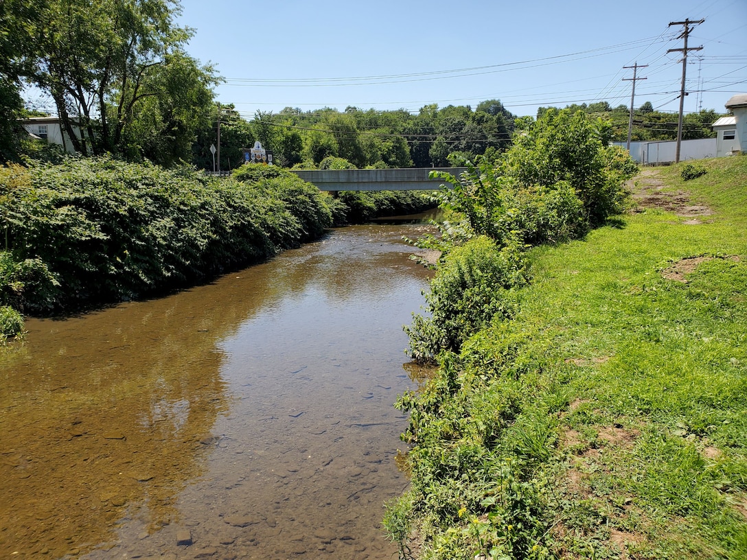 A shallow, clear-water creek flows under a concrete bridge. The banks are lush and overgrown with green bushes and trees under a bright, clear blue sky.