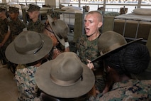 Alpha Company Senior Drill Instructor Inspection