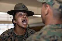 Alpha Company Senior Drill Instructor Inspection