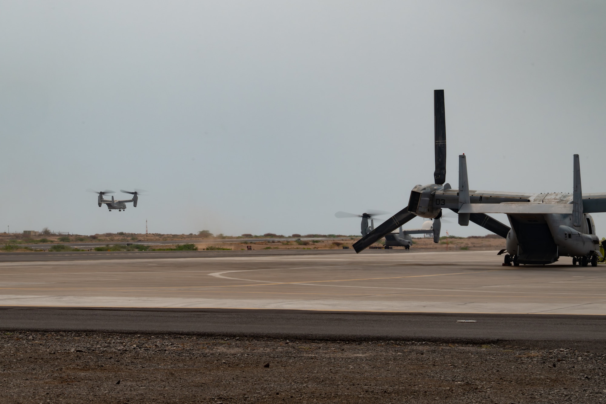 Marine Osprey Taking off
