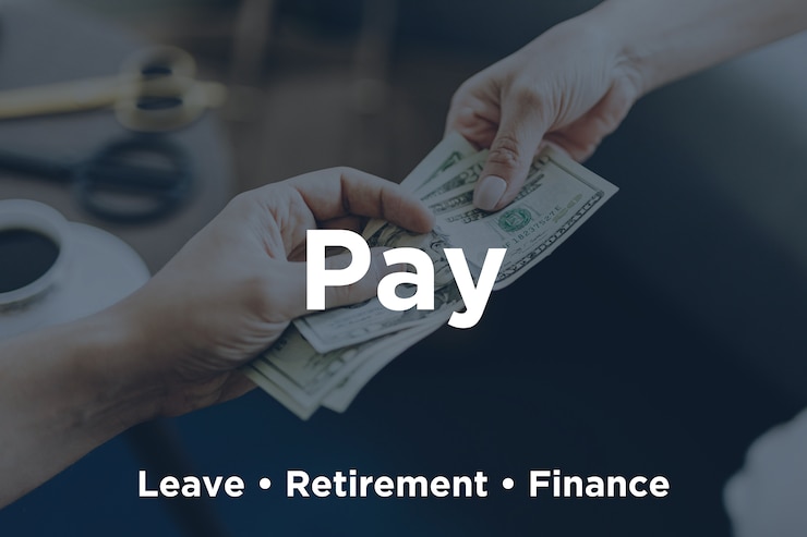 Link to Pay page