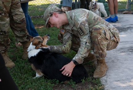 180th ESC returns after mobilization to Horn of Africa