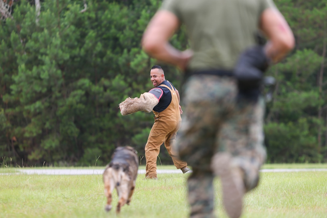Officer Jose Espinosa, K-9 handler, Provost Marshals Office, Headquarters and Headquarters Squadron, Marine Corps Air Station Beaufort, conducts a bite test at MCAS Beaufort, South Carolina, June 16, 2026. PMO conducted an explosive detection test and bite test in order to train their K-9 unit. (U.S. Marine Corps photo by Lance Cpl. Julius Hackney)
