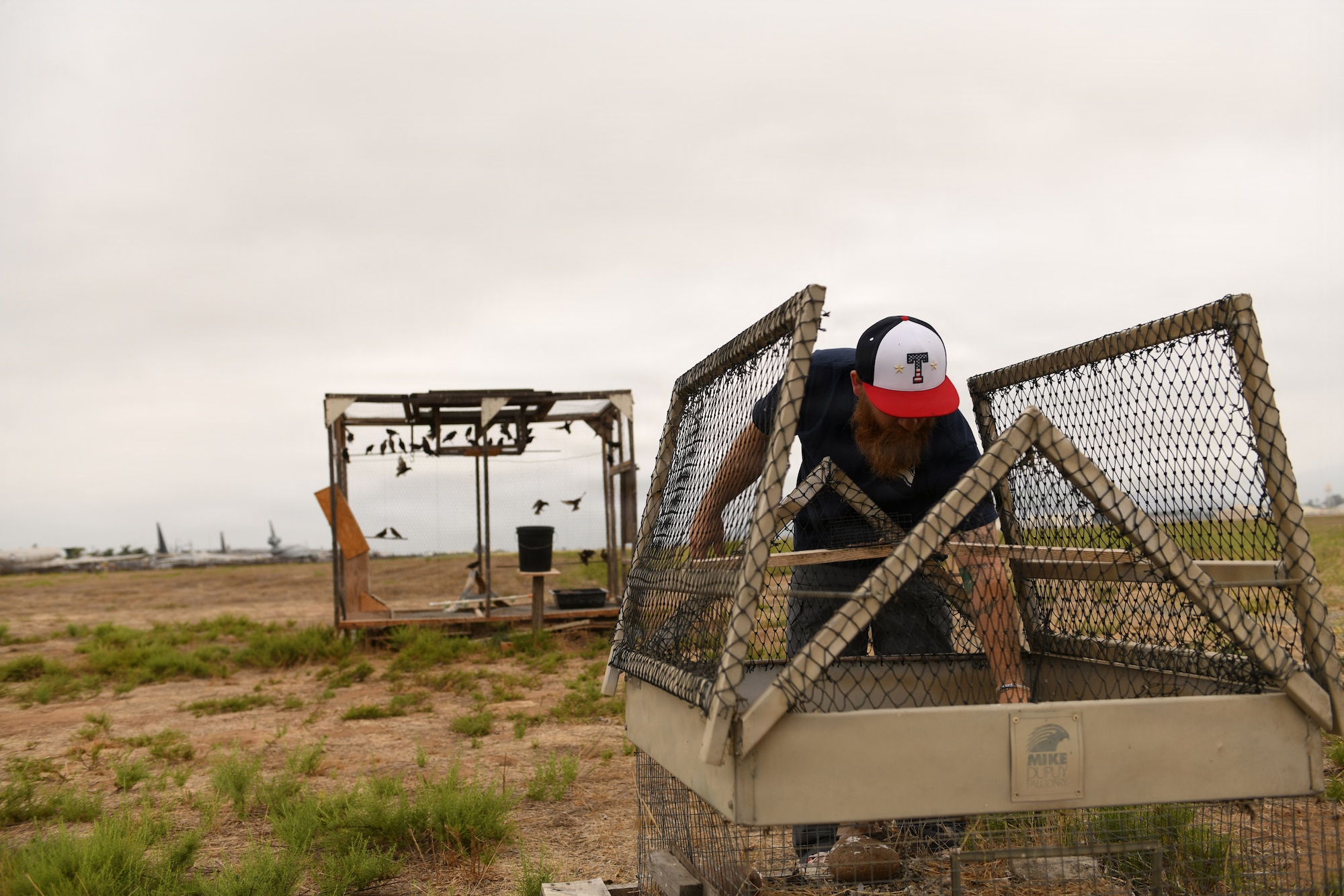 BASH, flightline, bird, USDA
