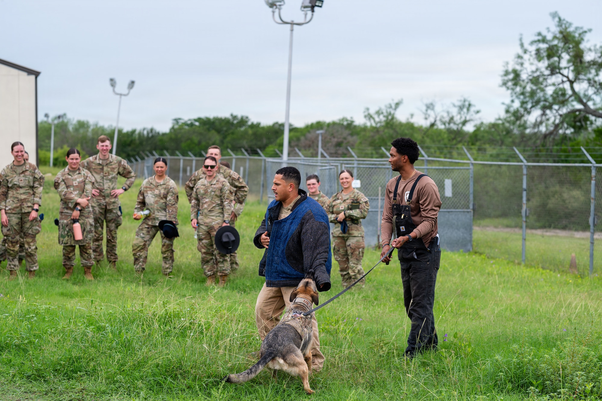 USAFA MWD
