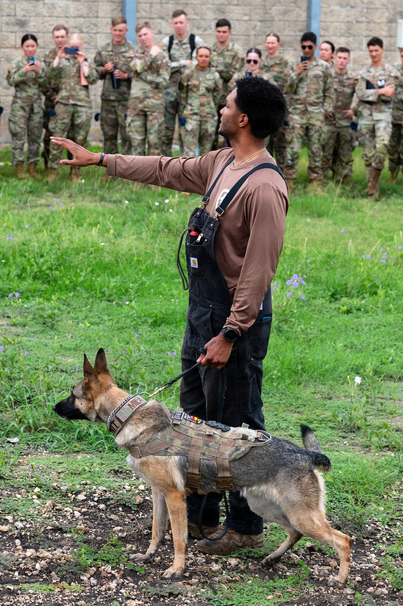 USAFA MWD