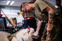 A photo of an Airman petting a therapy dog.