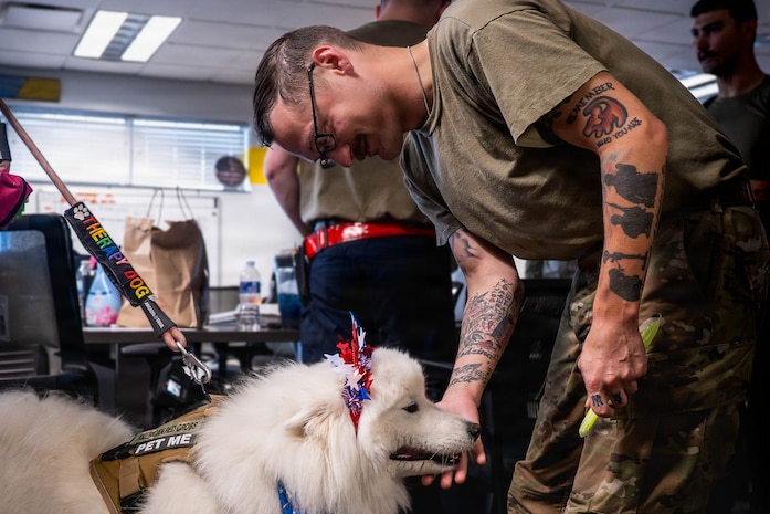 A photo of an Airman petting a therapy dog.