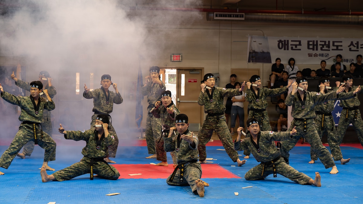 Performers display a taekwondo routine.