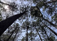 Fort Pickett, partner agencies conduct high-risk rescues