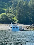 The motor vessel Eagle One Express (left) is beached alongside a good Samaritan vessel at Annette Island, Alaska, July 16, 2026. Four good Samaritan vessel crews responded to an Urgent Marine Information Broadcast to assist in the transportation of 36 passengers to Ketchikan.