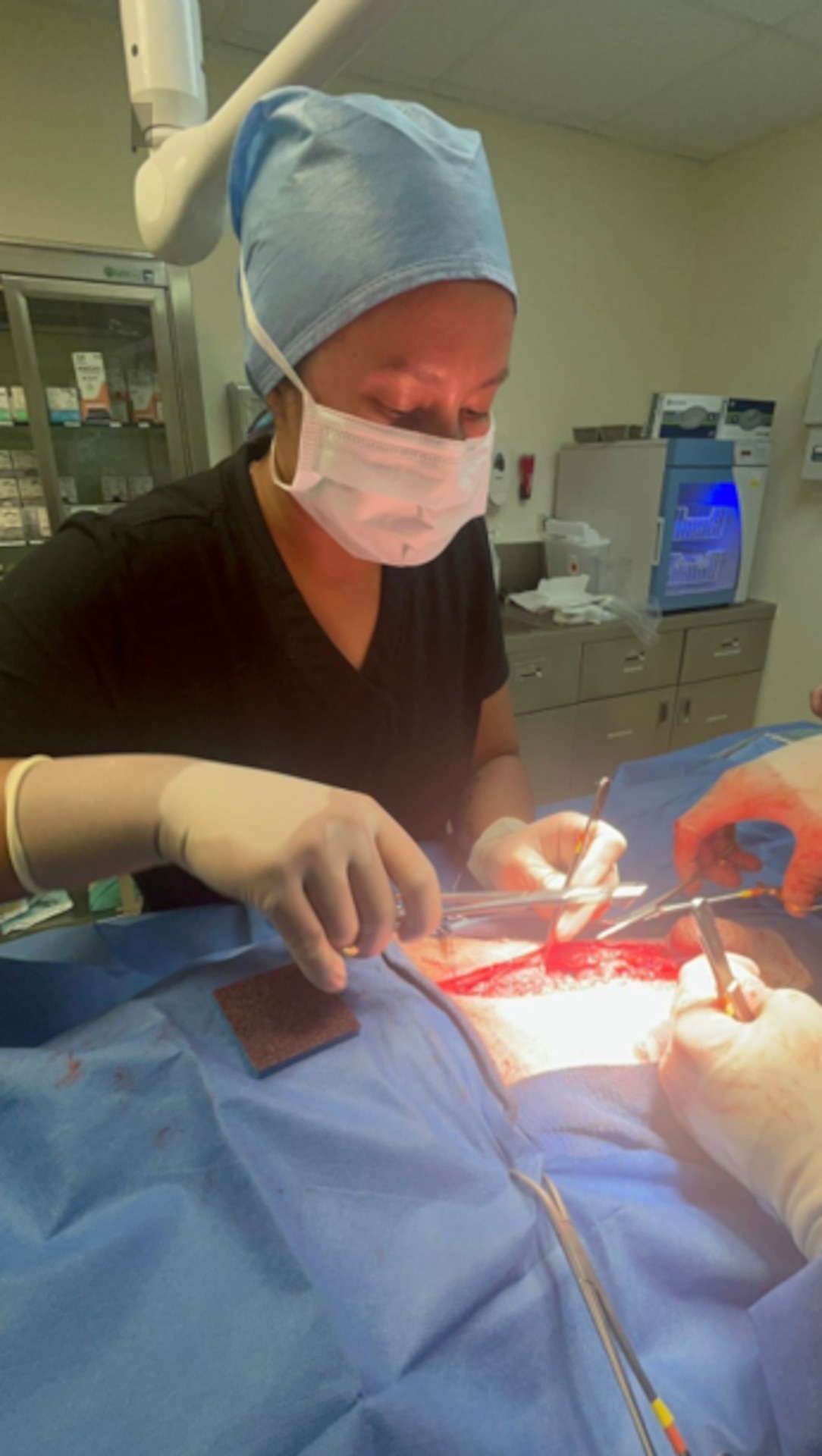 Emergency splenectomy on a privately owned dog