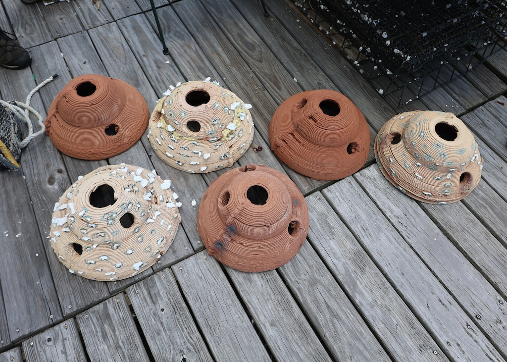 Picture of some 3D printer Oyster Reefs