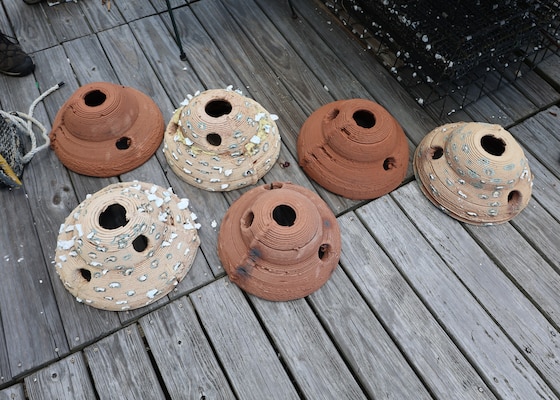 Picture of some 3D printer Oyster Reefs