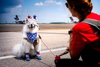 Chaos, an American Red Cross therapy dog, sits on the flightline at Joint Base Charleston, S.C., July 8, 2026. Therapy dogs help create a relaxed environment where service members can reduce stress and improve resilience. (U.S. Air Force photo by Airman 1st Class Braxton Grant Stokes)