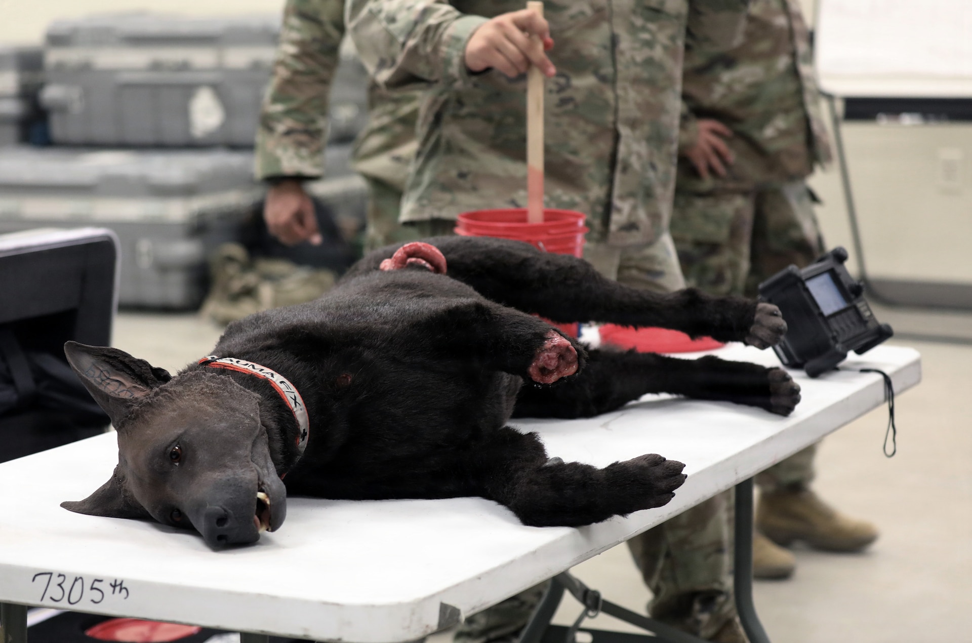 Army Reserve Soldiers make robots bleed and growl during Operation Bold Eagle 26